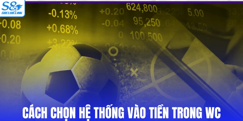 Cách chọn hệ thống vào tiền trong wc