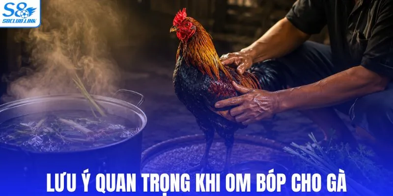 Lưu ý quan trọng khi om bóp cho gà